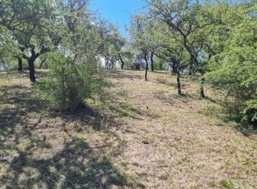 Terreno  Venta USD 280.000 · Terreno en Venta de 1520 m² - Fondo Golf - Estancia El Terrón