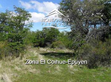 Campo · 38900m² · Chacra en El Coihue, Epuyen