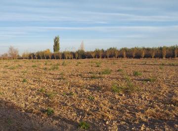 Terreno , Fray Luis Beltrán · Lote Ruta 60 y Zanetti, Maipu Mendoza