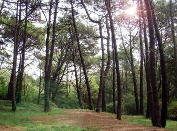 Terreno , Villa Gesell · Lotes en Villa Gesell - Financiacion Directa