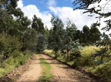 Terreno · 1017m² · Club de Campo Los Tres Arroyos - Oportunidad Lote - La Falda