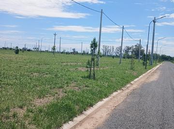 Terreno , Álvarez · Terrenos Los Pinos 4 – Ruta 18 Km 12.5 - Financiación