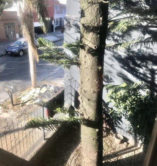 Casa · 120m² · 5 Ambientes · 1 Cochera