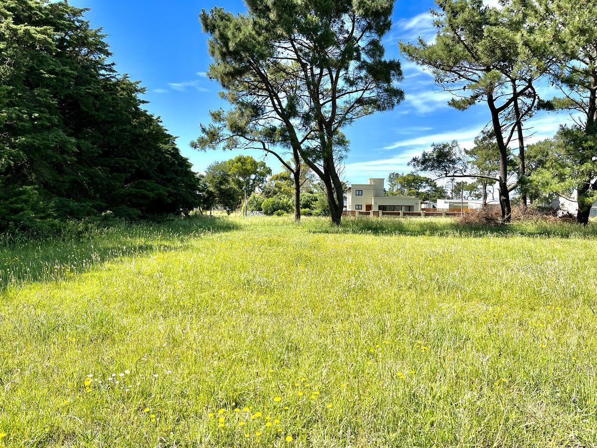 Excelente lote de 437 m2, en La Caleta