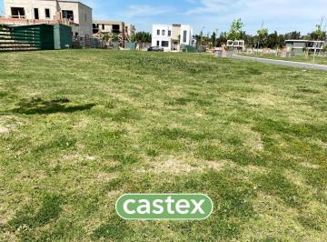 Terreno · 510m² · Lote en Venta en Silvestre, Nordelta.