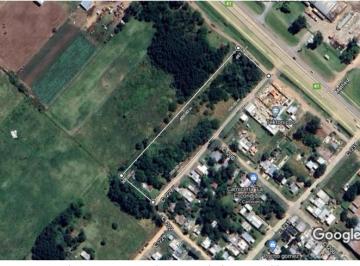 Campo · 10000m² · Campo - General Belgrano