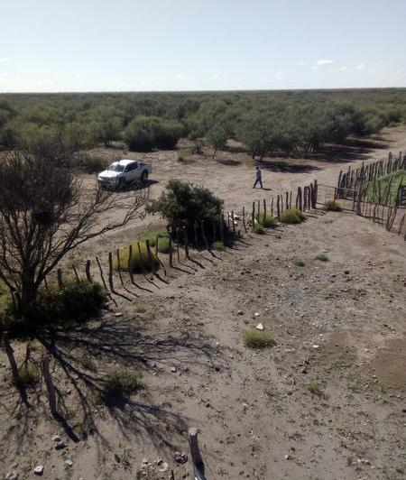 Campo · 39210000m²