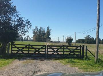Campo · 630000m² · Campo - General Rodriguez