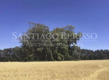 Campo · 12m² · Terreno Campo en Venta Ubicado en Zárate, G. B. a. Zona Norte, Argentina