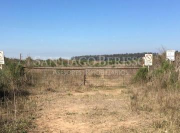 Campo · 150000m² · Terreno Campo en Venta en Campana, G. B. a. Zona Norte, Argentina