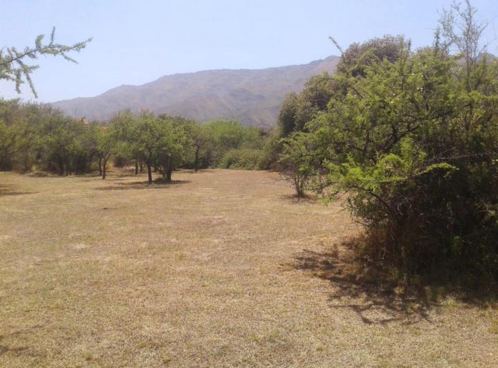 Terreno · 1508m²