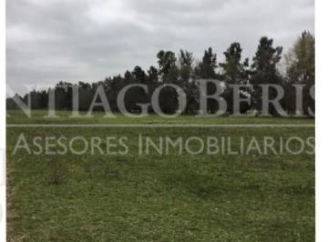 Campo · 700000m² · Terreno Campo en Venta en Campana, G. B. a. Zona Norte, Argentina