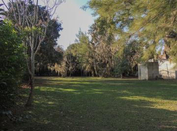 Terreno , Iriondo · Terreno - Oliveros