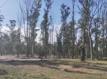 Foto · Lote Oportunidad Para Inversión o Construir en Nuevo Malagueño Numa