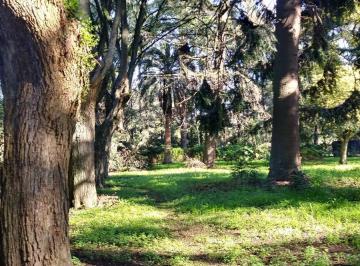 Terreno · 250m² · 7 Ambientes · Venta de Quinta en Moreno