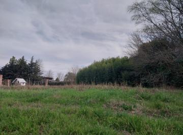 Terreno · 550m² · 2 Lotes de Terreno Juntos o Separados 550 m² Excelente Ubicacion Centrica Se Escuchan Ofertas