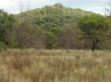 Terreno · 20000m² · Excelente Fracción Sobre Ruta con Escritura