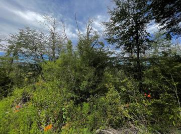 Terreno · 8269m² · Lote en Exclusiva Zona de Arelauquen - Bariloche