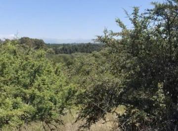 Terreno , Los Reartes · Venta de Lote en Los Reartes. No Dejes Pasar Ésta Gran Oportunidad!
