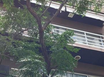 Departamento · 65m² · 3 Ambientes · 1 Cochera · Muy Lindo Piso con Cochera y Baulera en Olivos