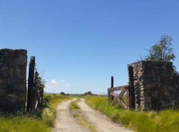 Terreno · 1m² · Venta de Lote en Loma del Tigre en Villa Berna - Tlc0777