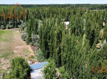 Campo · 39000m² · Chacra en Sargento Vidal