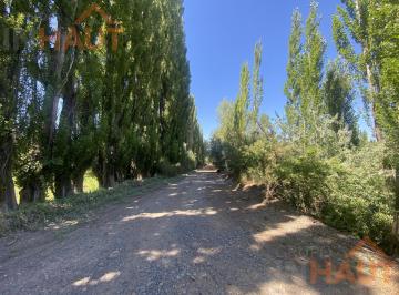Campo · 39000ha · Chacra en Sargento Vidal
