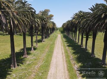 Campo · 256ha · Único Campo en Venta de 256 Has Sobre Ruta 2 - Ideal Desarrollo Inmobiliario