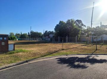 Terreno · 533m² · Terreno - San Ramon