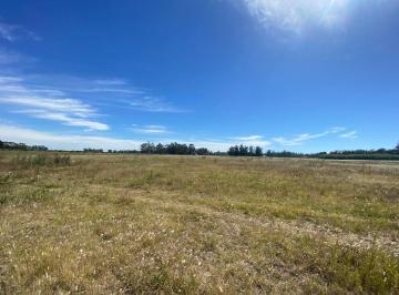 Campo , Mar del Plata · Latorre Prop. Vende 4 Ha Baldias