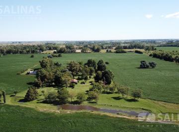 Campo · 600000m² · 60 Ha Haras en Parada Robles