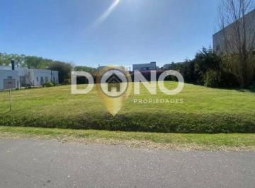 DOP-DOP-1569_3 · Lote. | Av Gutierrez Al 4100