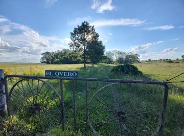 Campo de 4 ambientes, Caseros · Chacra con Casa de Campo en Venta con Buena Arboleda Añosa