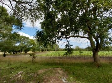 Campo , Mar del Plata · Fraccion de 2 Ha y Cuarto (22.500 M²) en Venta en Sierra de Los Padres