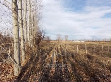 Campo · 10000m² · Chacra