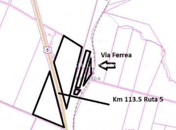 Foto1 · Florida, Campo 30 Ha Sobre Ruta 5, Potencial Logístico