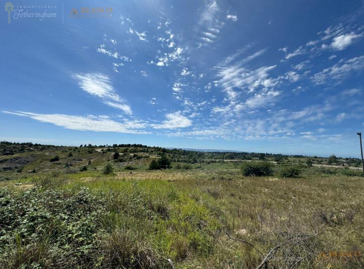 Terreno · 15410m²