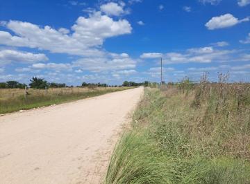 ADP-ADP-261_2 · Lote. | 619 Al S00