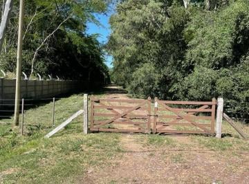 Campo , Cañuelas · ¡Ideal Inversores! 9 Ha en Cañuelas.