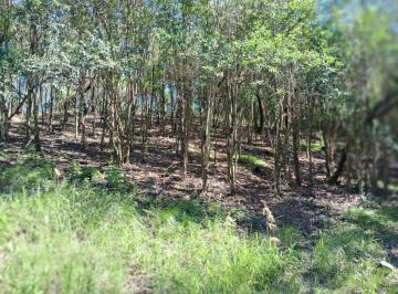 Foto · Corral de Barrancas Barrio Privado Gran Lote a La Venta - Entrega y 25 Cuotas Sin Interes