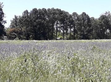 Terreno · 1646m² · Terreno - Manzanares