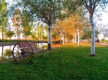 Terreno · 440m² · Venta Terreno Pinares del Sur Piñero