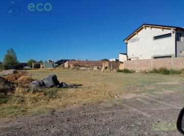 Terreno · 1000m² · Eco Vende Terreno en Calle Los Pinos Entre Los Robles y Los Cipreces de Fdez Oro