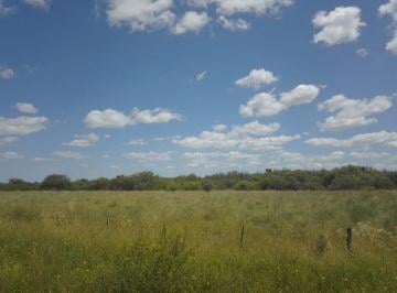Campo · 250m² · 1 Ambiente · Alquiler o Venta de Campo Ganadero en La Cabral