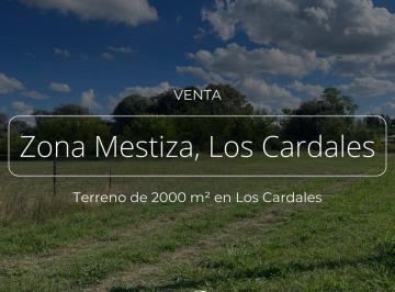 Terreno · 2000m² · Terreno en Venta, Zona Mestiza, Los Cardales