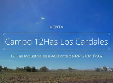 Campo · 12000m² · 12 Ha Industriales en Venta, Los Cardales, Rp 6 Km 179,4