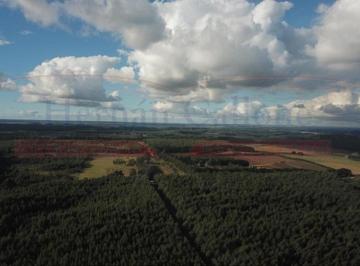 Campo · 500000m² · 1 Ambiente · Campo de 50 Ha en Concordia