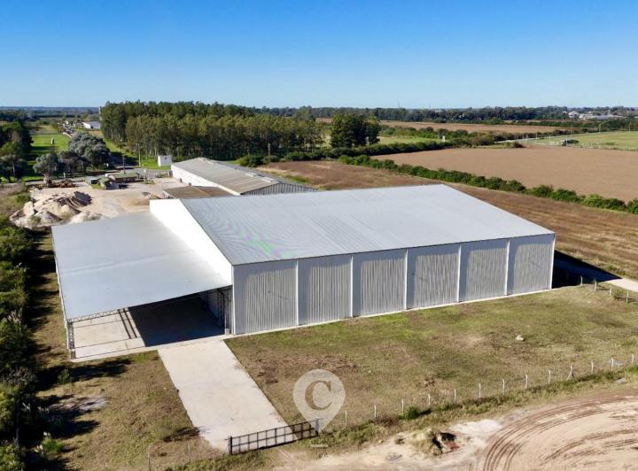 Bodega-Galpón · 1287m²