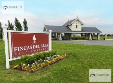 Terreno · Terreno - Fincas del Alba
