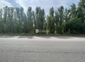 Terreno · 2645m² · Venta - Lote de 2645 m² Sobre Viterbori - T061